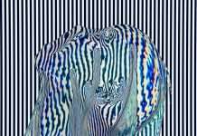 Tracks of the Week: Melodic Journey 20(ConnectFM)