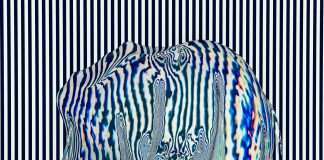 Tracks of the Week: Melodic Journey 20(ConnectFM)