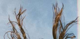 Lara Somogyi announces debut album ‘!’ on Mercury KX, Listen to åcceptances