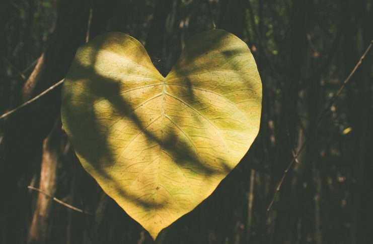 4YourLove 02