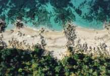 Albania’s ION festival launch ticket sales next week