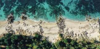 Albania’s ION festival launch ticket sales next week