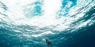 Tracks of the Week: Deep ConnectFM 22