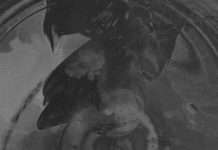 Tracks of the Week: Techno Trip 22 (ConnectFM)