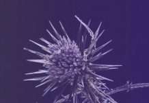 John Tejada returns with new album Sleepwalker on Palette Recordings