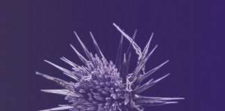 John Tejada returns with new album Sleepwalker on Palette Recordings