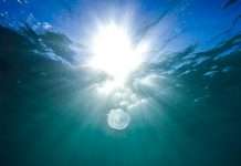 Tracks of the Week: Deep ConnectFM 25