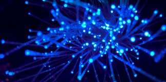 Tracks of the Week: Melodic Journey 26(ConnectFM)