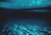 Tracks of the Week: Deep ConnectFM 26