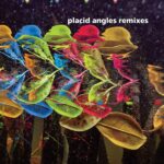 Marcel Dettmann, Dauwd, Cassy, Plaid & more remix Placid Angles LP