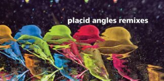 Marcel Dettmann, Dauwd, Cassy, Plaid & more remix Placid Angles LP