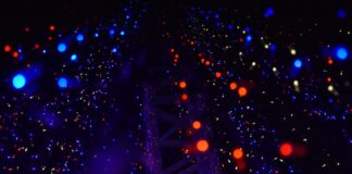 Tracks of the Week: Melodic Journey 35(ConnectFM)