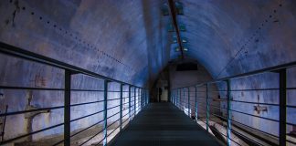 Techno Trip 51: Tracks of the Week