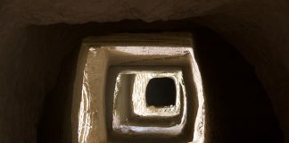 Techno Trip 52: Tracks of the Week