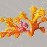 Deep ConnectFM 50: Tracks of the Week