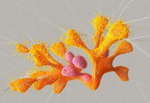 Deep ConnectFM 50: Tracks of the Week