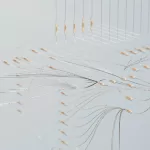 Deep ConnectFM 52: Tracks of the Week