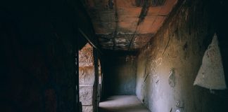 Techno Trip 53: Tracks of the Week