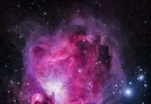 Melodic Journey 48: Tracks of the Week