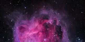 Melodic Journey 48: Tracks of the Week