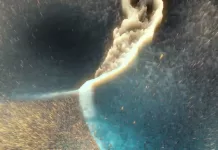 Odalie announces “Puissante Vulnérabilité” with single “We Are Nature”