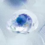 Deep ConnectFM 54: Tracks of the Week