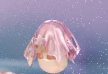 Deep ConnectFM 63: Tracks of the Week