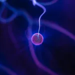 Melodic ConnectFM 59: Tracks of the Week