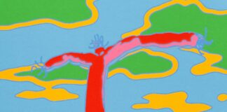 Barry Can’t Swim shares new single “Kimbara”