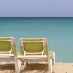 Chill 4 Real Tracks of the Year 2024 (So Far)