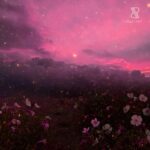 Sabb is back on his label RADIANT. to release “Peligrosa” with Swiss talent INFINÉ