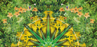 The Orb – Orboretum: The Orb Collection (4lp version) including new and rare mixes, compiled by Dr. Alex Paterson