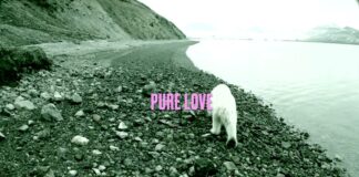 DJ Koze Announces New Album ‘Music Can Hear Us’ & Shares ‘Pure Love’ Featuring Damon Albarn