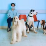 Barry Can’t Swim announces new album ‘Loner’