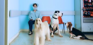 Barry Can’t Swim announces new album ‘Loner’