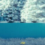 Leven Kali releases Pieces