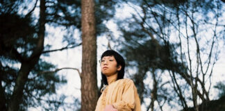 gyrofield announces two-track 12″ and shares ‘Mother’